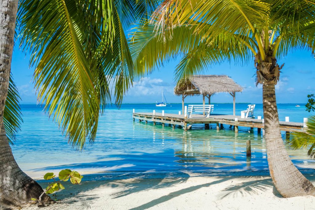 A small pier leads out into the green-blue waters in Ambergris Caye, with palm trees in the foreground