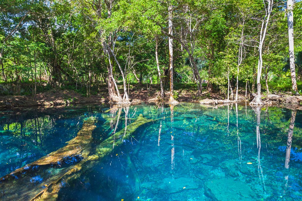 A lagoon with crystal blue waters and trees surrounding it