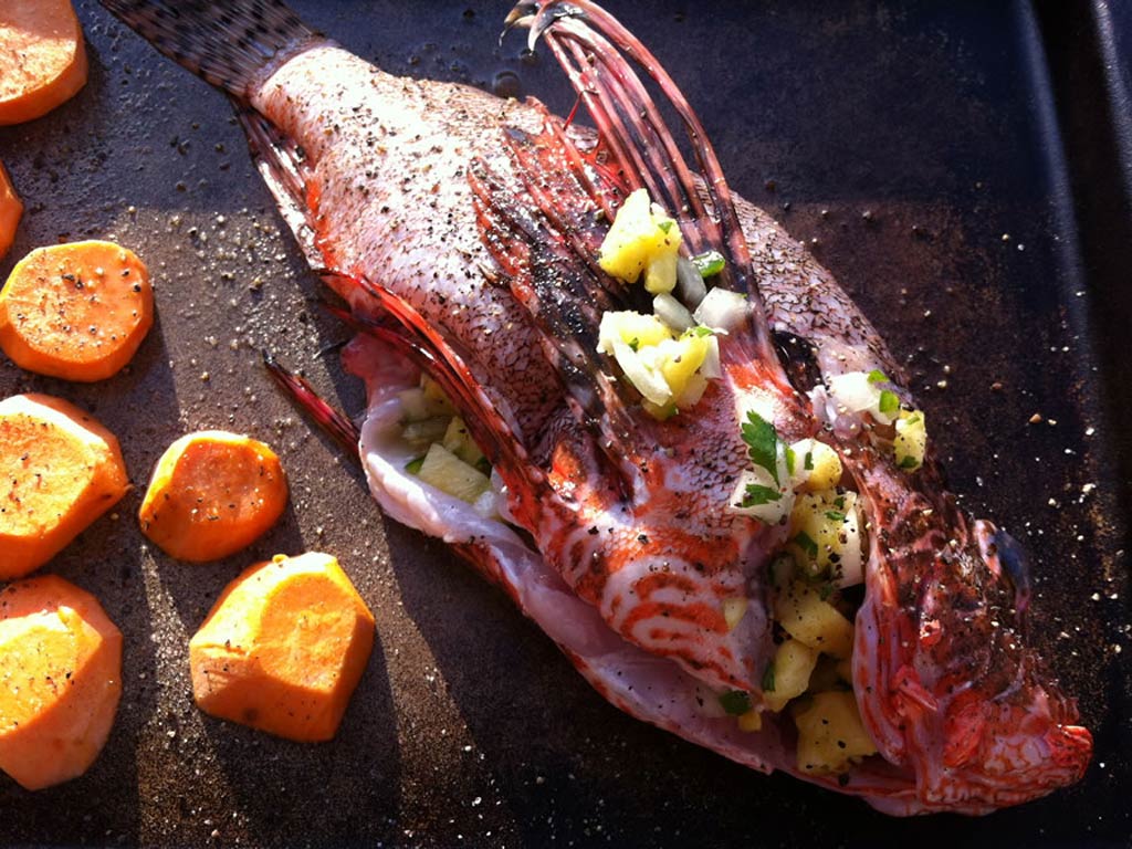 A photo of an invasive Lionfish being cooked on a griddle, with sweet potatoes on the side.