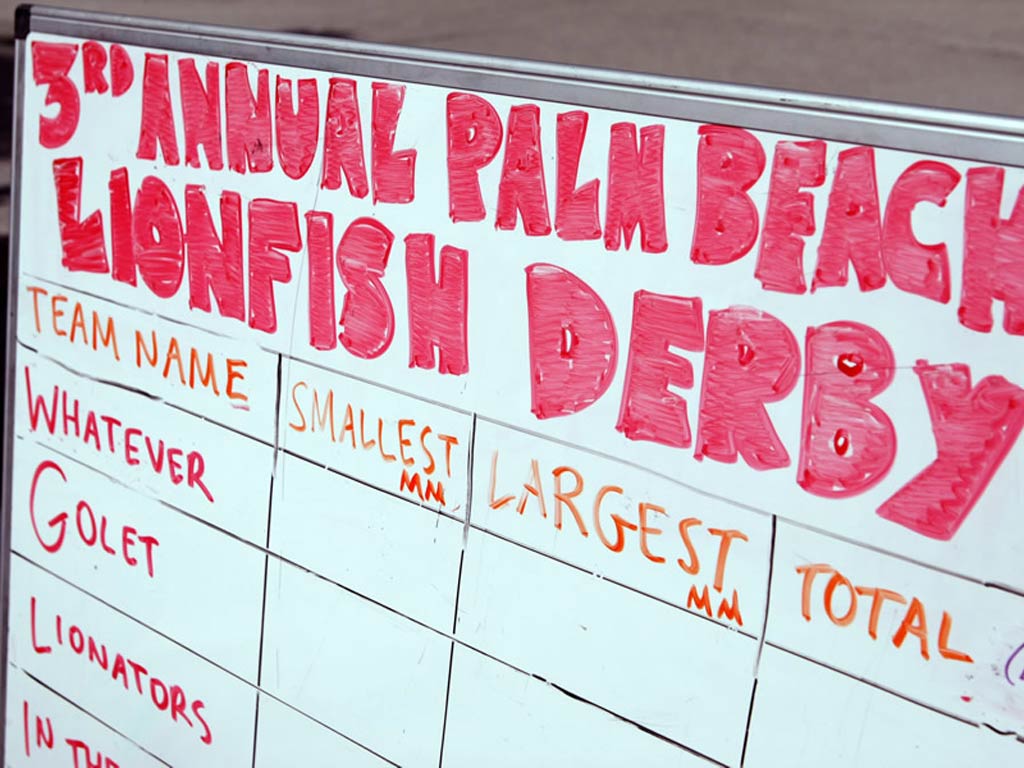 A photo of a whiteboard displaying the scores for the 3rd Annual Palm Beach Lionfish Derby, one of the ways to tame Lionfish invasion