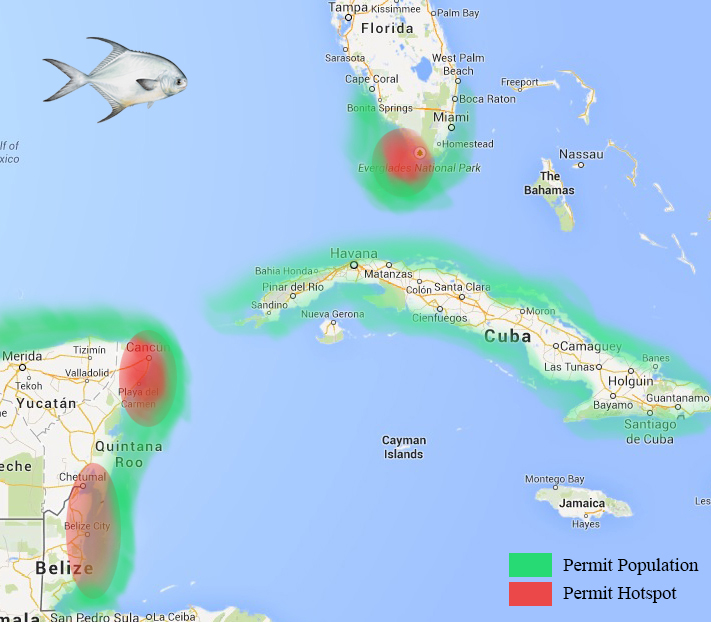 Permit Population in Florida and Mexico