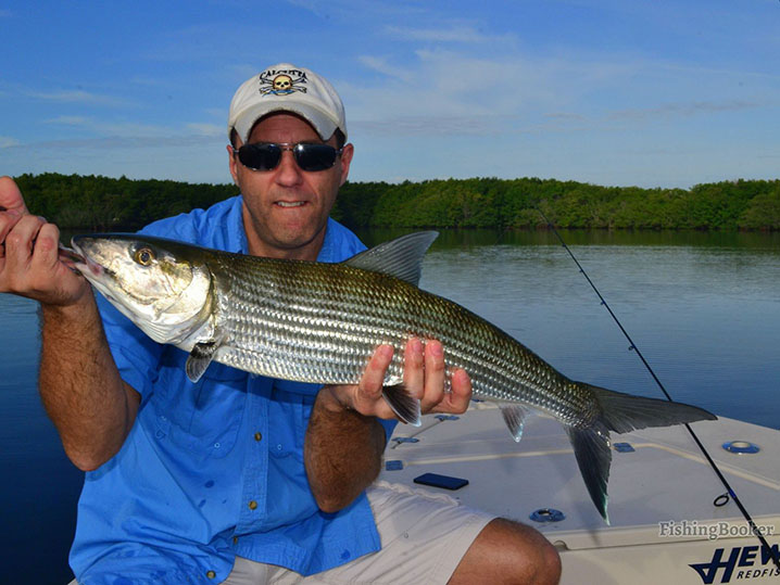 An angler holding a Bonefish while fishing on the flats in Miami