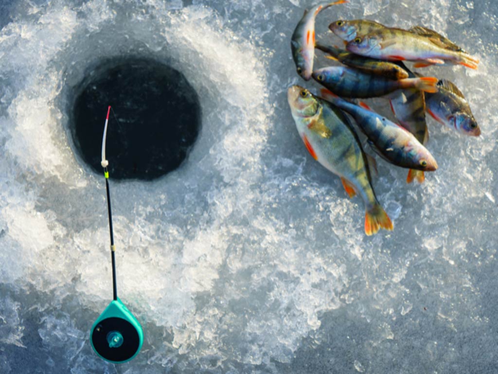 A photo featuring an ice fishing hole and a several caught fish species next to it