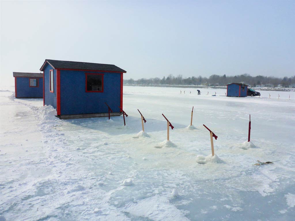 Just a regular winter on Lake Champlain being dotted with fishing tip-ups spread all over the angling area near the shanties