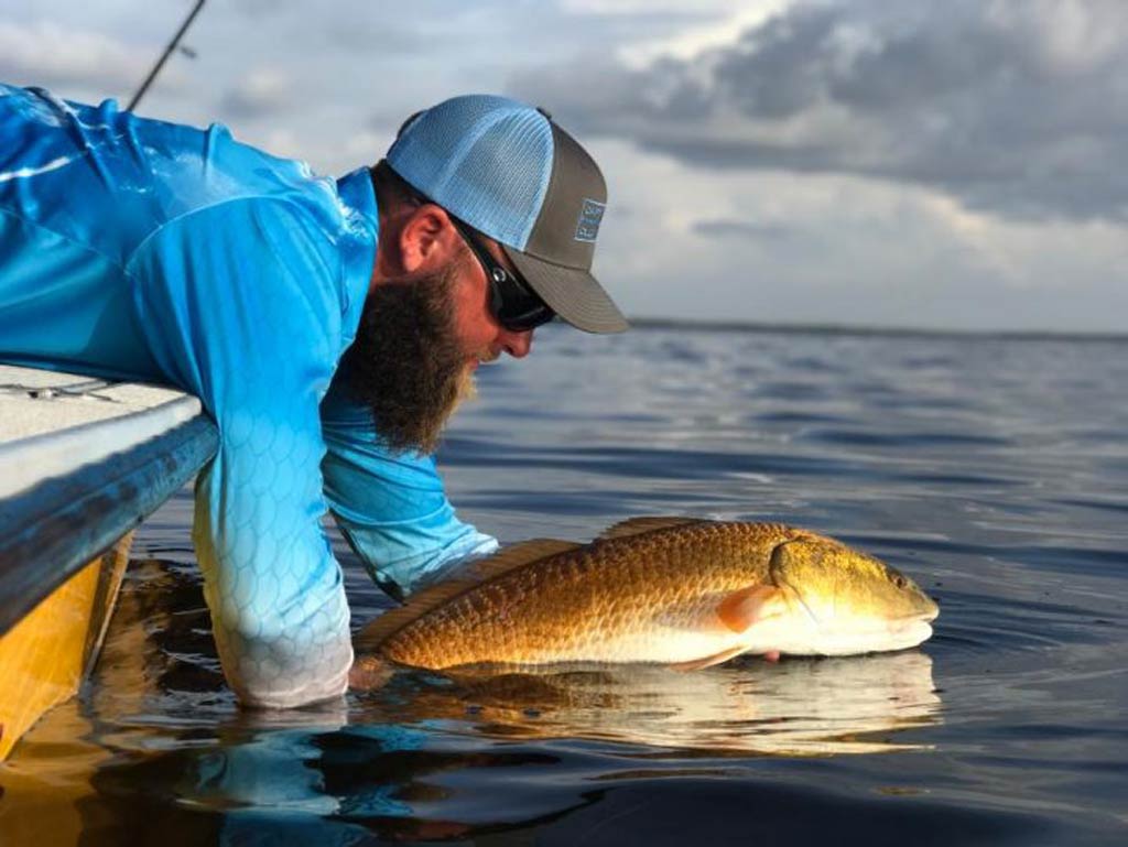 A man in a blue shirt and a cap releasing a Redfish off the side of a boat into the sea