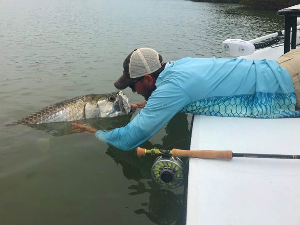 An angler in a blue shirt and a cap with a fly fishing rod next to him. The angler is leaning over the side of a boat to release a Tarpon