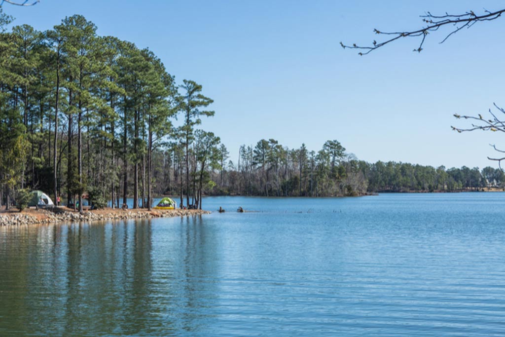 A scenic photo of Lake Murray and its calm waters and shoreline greenery, ideal for family fishing in South Carolina