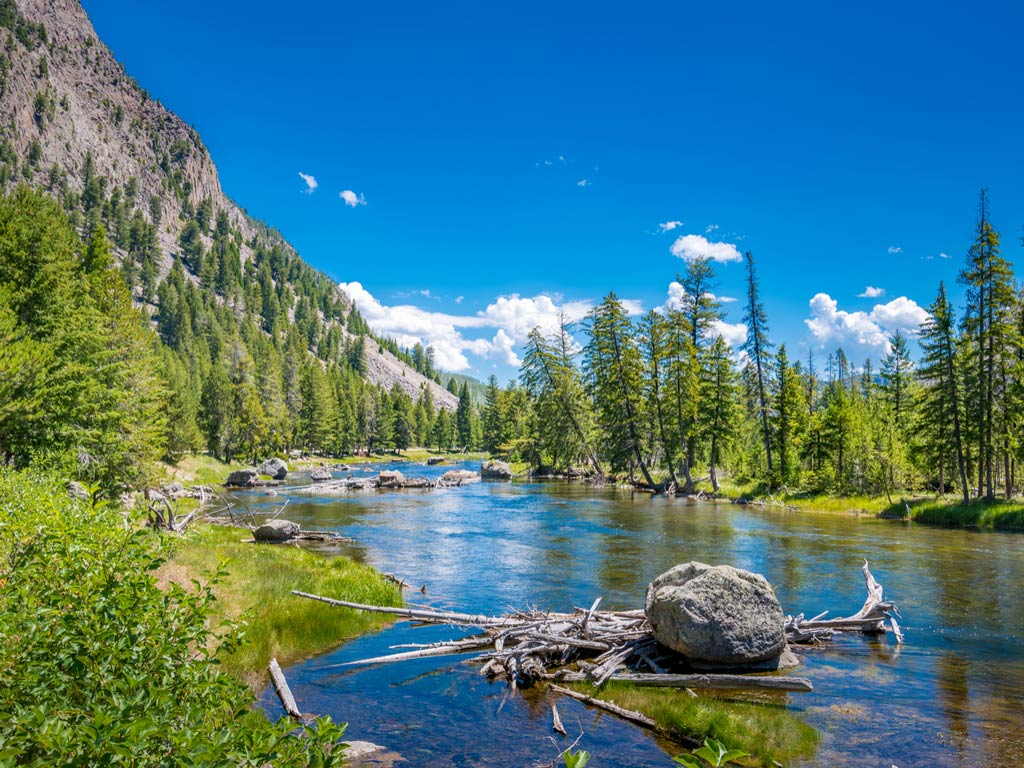 A photo featuring Yellowstone National Park in its full glory with vibrant greenery, clear water, and blue sky