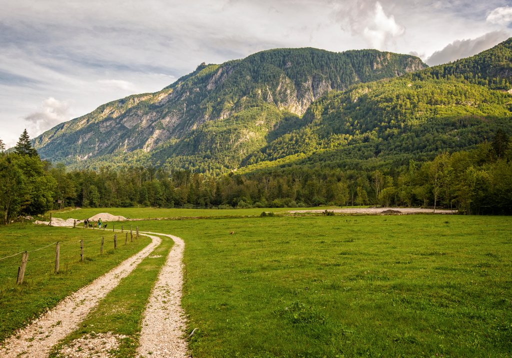 Fly Fishing in Slovenia: The Complete Guide for 2023