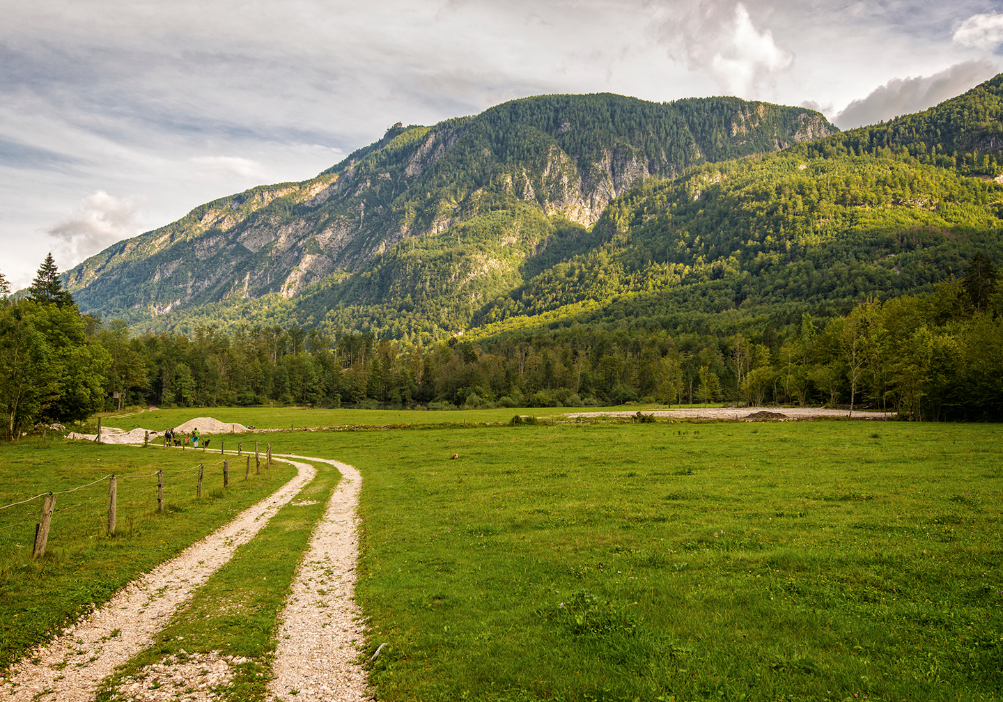 A dust road leading through a green field with mountains behind and people walking on the path in the distance.