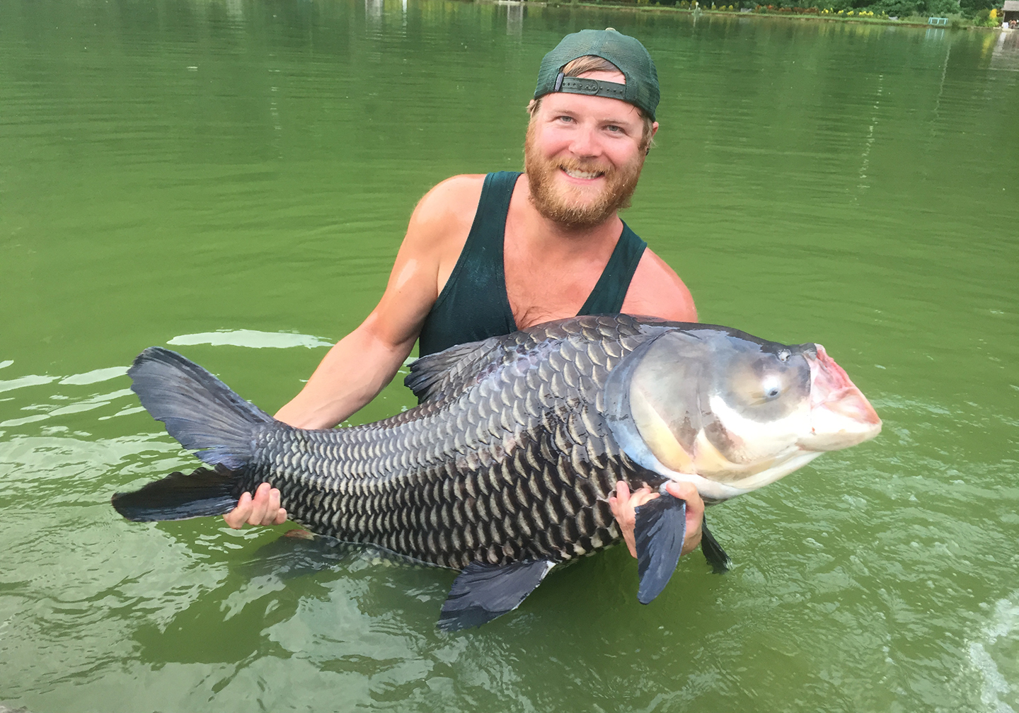 A happy angler in a cap and tank top holding a Siamese Giant Carp