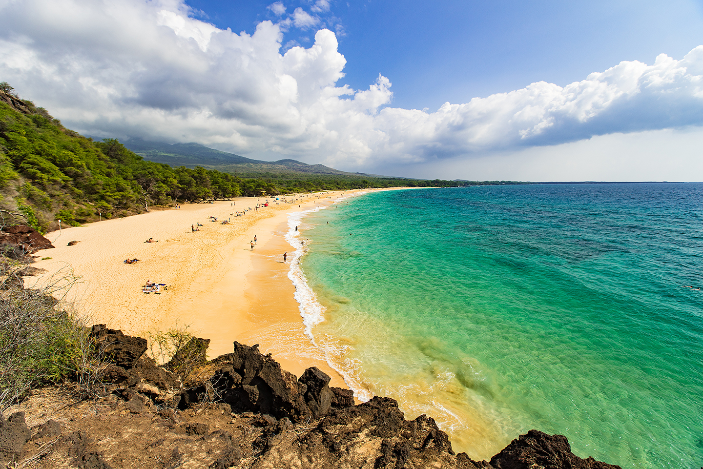 A yellow sandy beach on Maui, Hawaii, with green-blue water on the right and trees on the left.