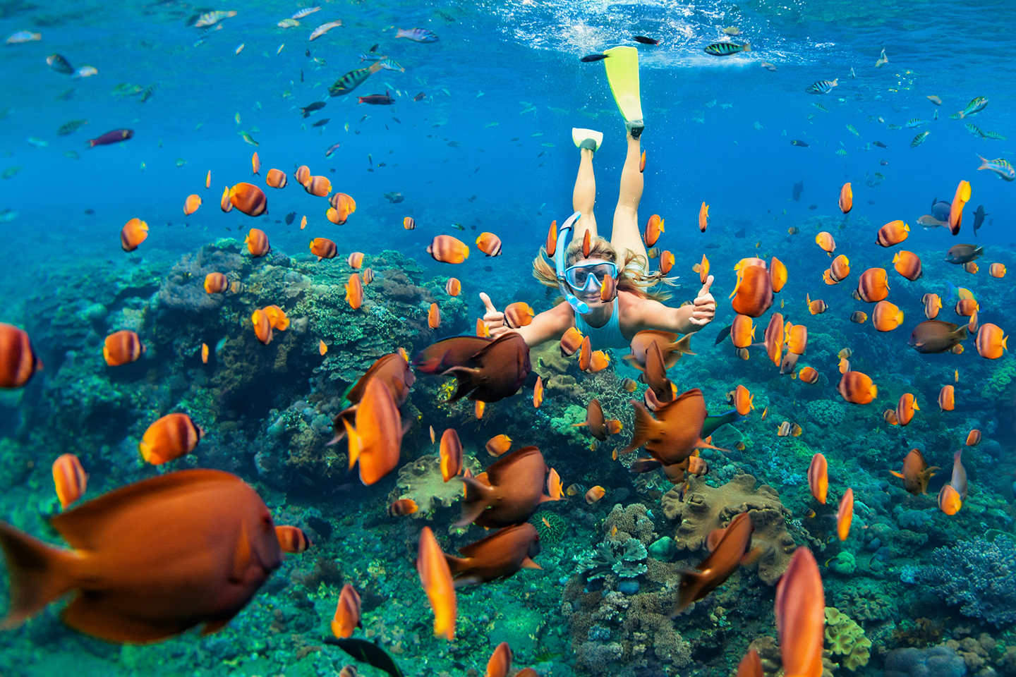 A woman snorkeling on an underwater reef around brightly-colored fish