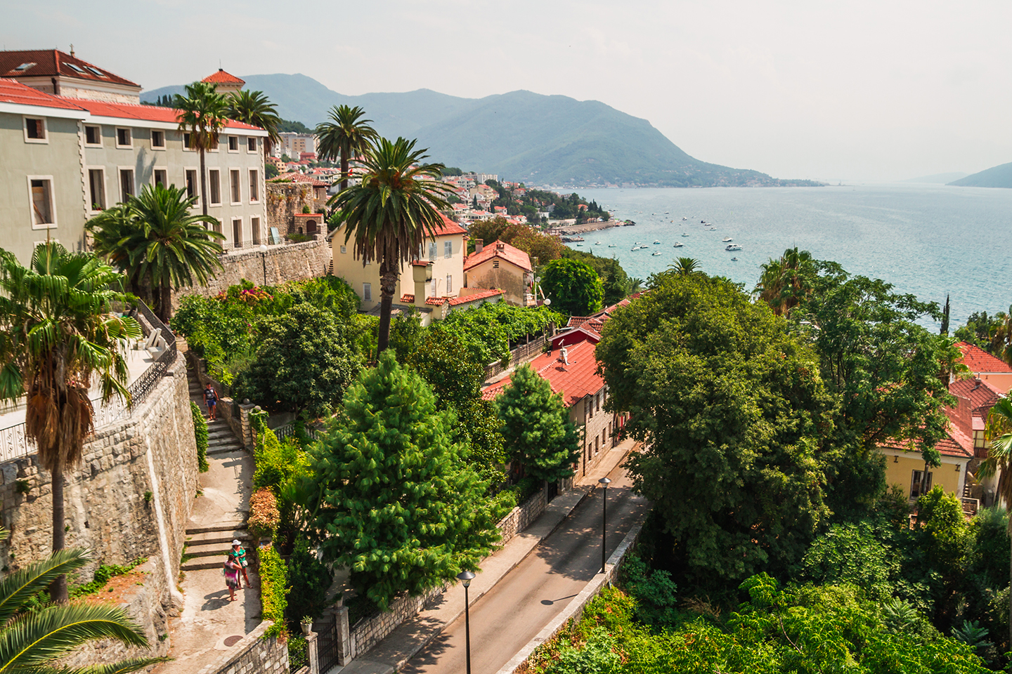 Buildings and palm trees in Herceg Novi, Montenegro, a pretty fishing and holiday town 