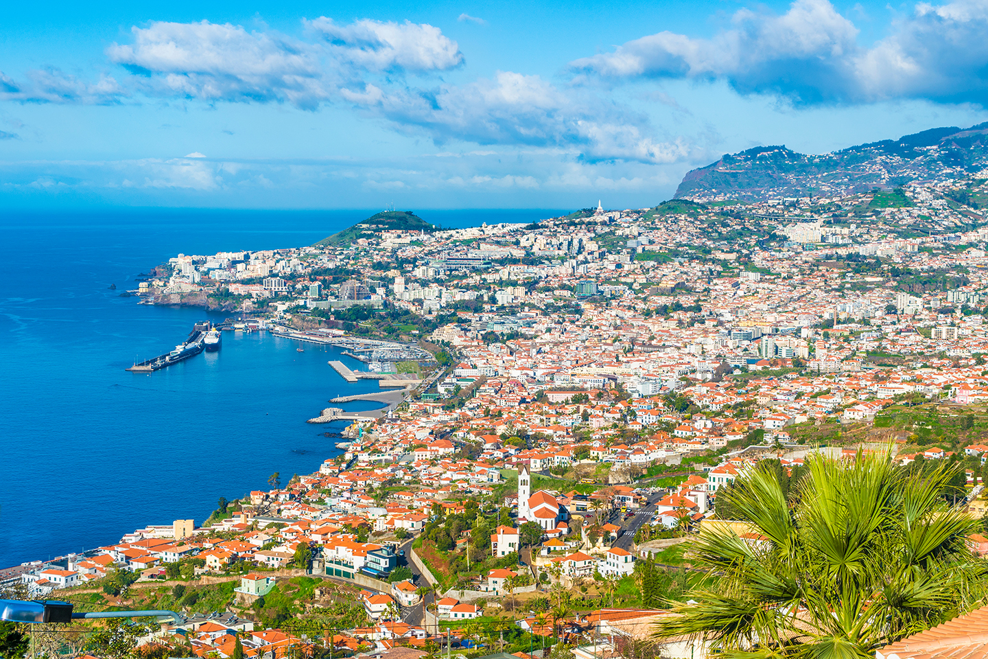 A view over Funchal, Madeira, with sea on the left.