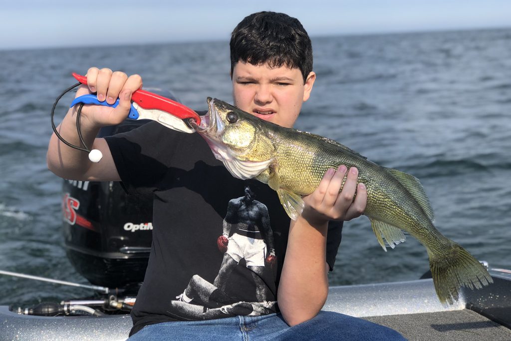 Sauger vs. Walleye All You Need to Know