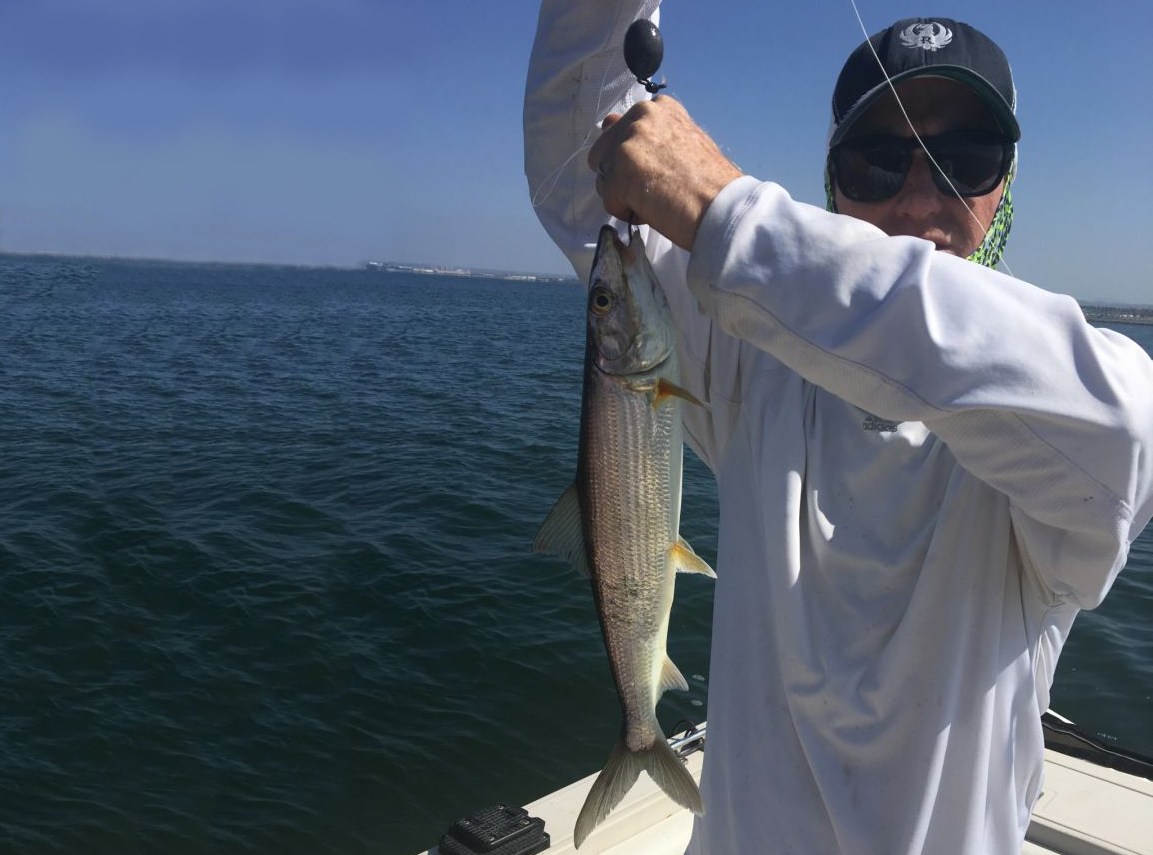 How to Go Fly Fishing in San Diego The Complete Guide for 2024