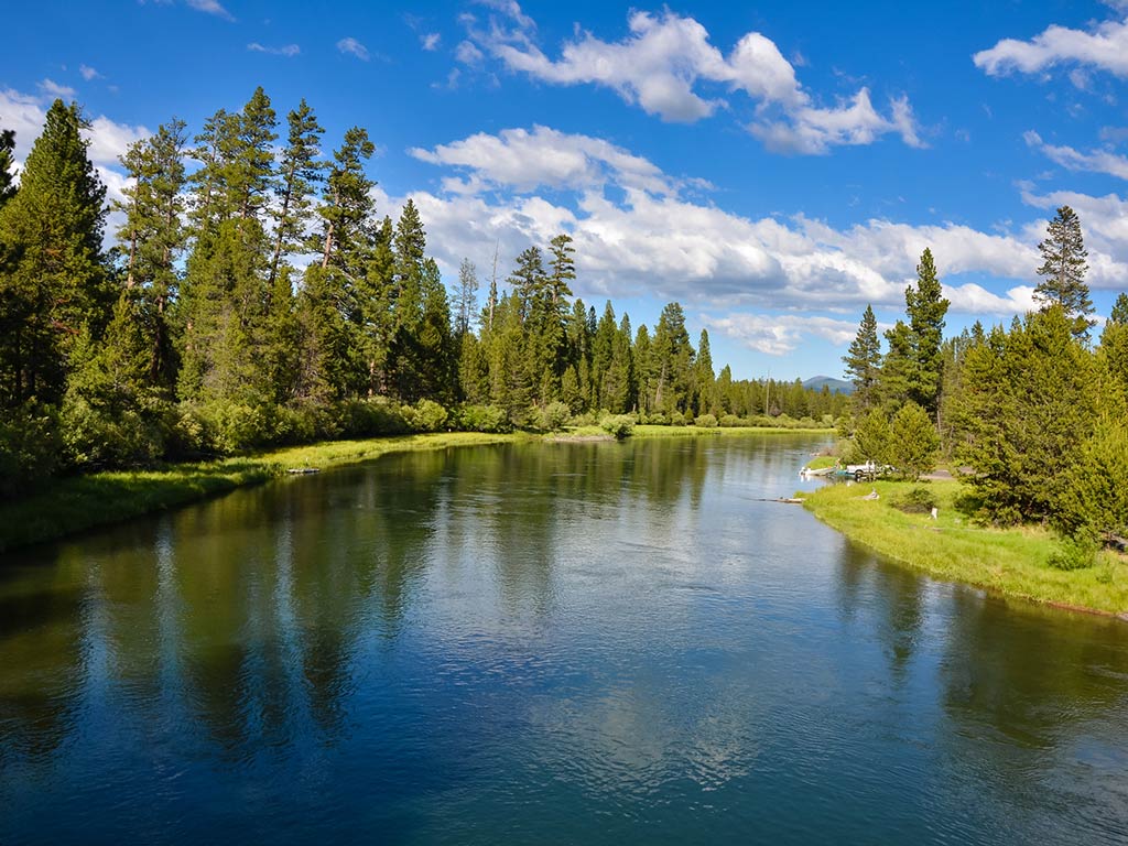 A panoramic view of the Deschutes River, a perfect spot for fly fishing in Oregon, featuring the river itself with green trees on either side and blue sky and clouds in the distance.