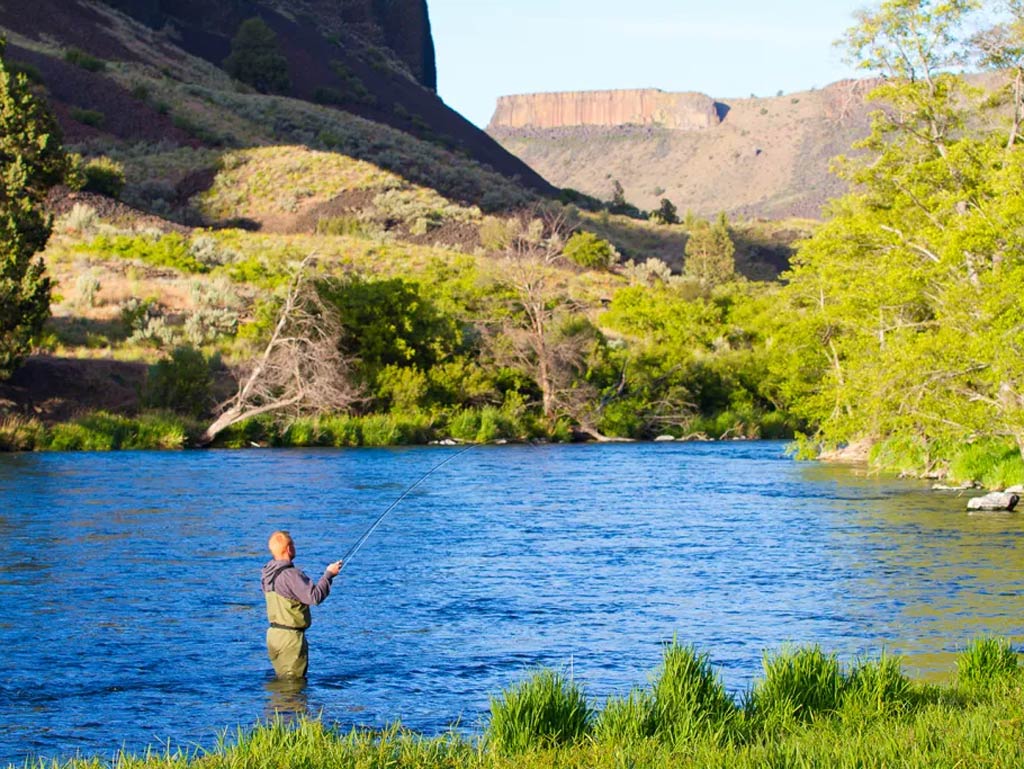 A person wearing waders stands in a river while fly fishing, surrounded by Oregon's lush, green trees and hills. The sky is clear, and a flat-topped hill graces the background.