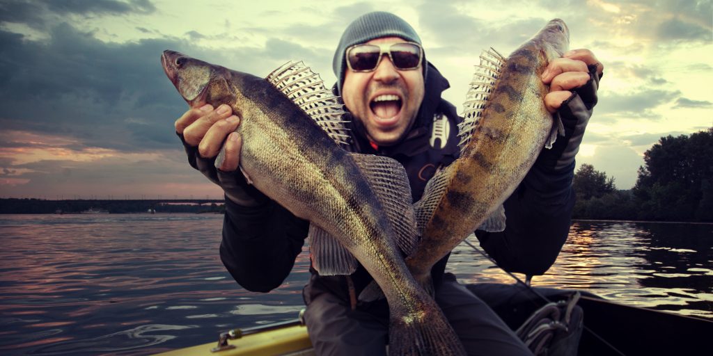 Happy man holding two big Walleye