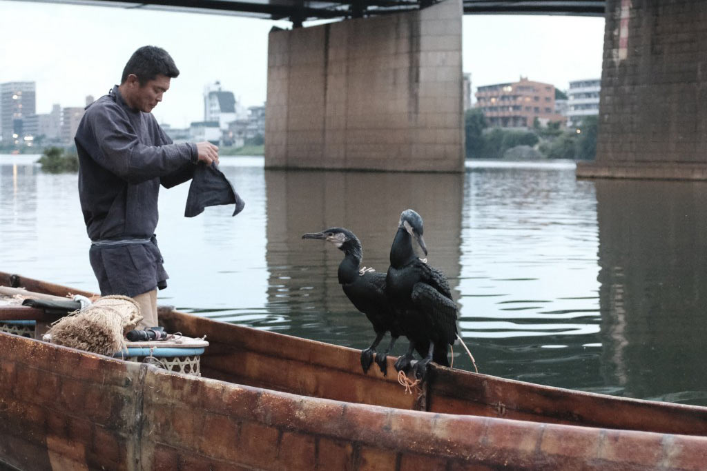 An angler in Japan on a boat by the shore, getting ready for some fishing with cormorants perched on the side of his vessel, with waters and bridge pillars in the background