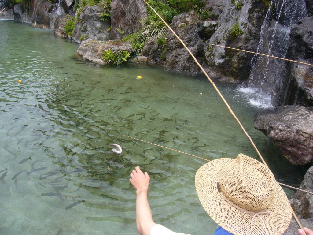 A person fishing a mountain stream using the tenkara fly fishing method