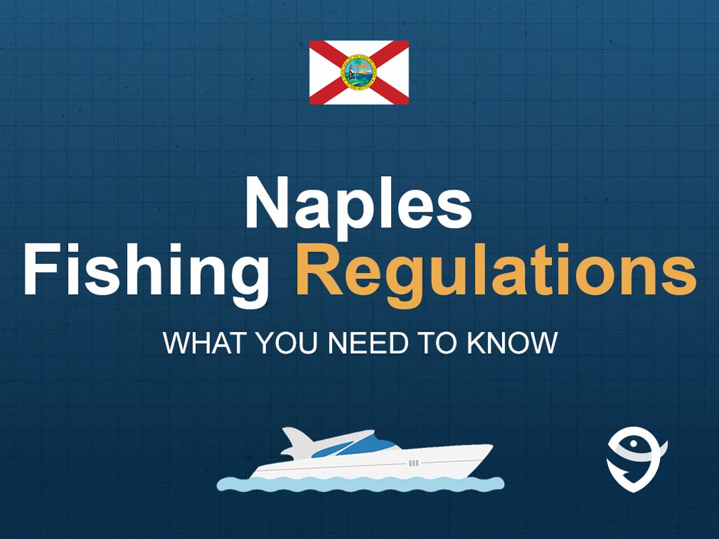 An infographic featuring the flag of Florida and text saying "Naples Fishing Regulations, What You Need to Know" above a vector of a boat against a blue background
