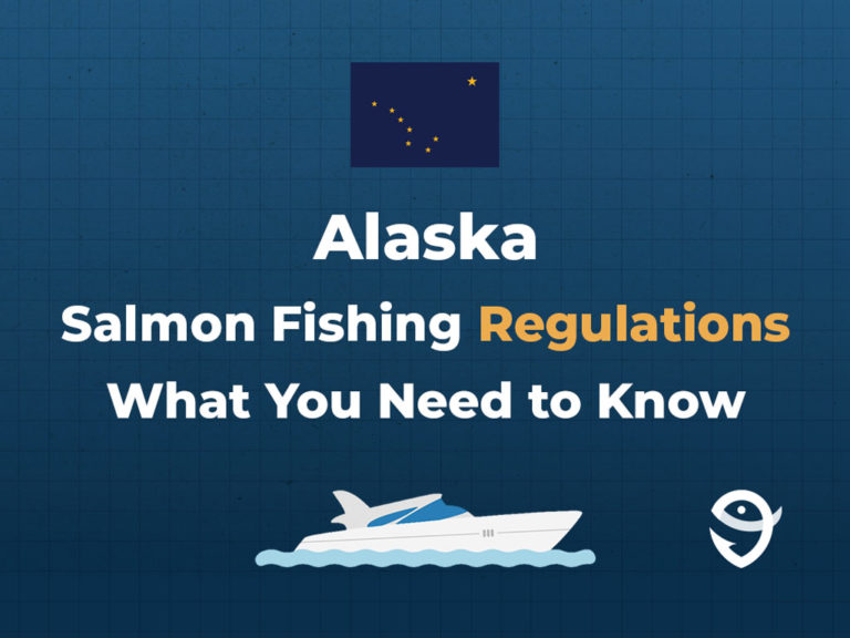 How to Fish for Salmon in Alaska The Complete Guide for 2024