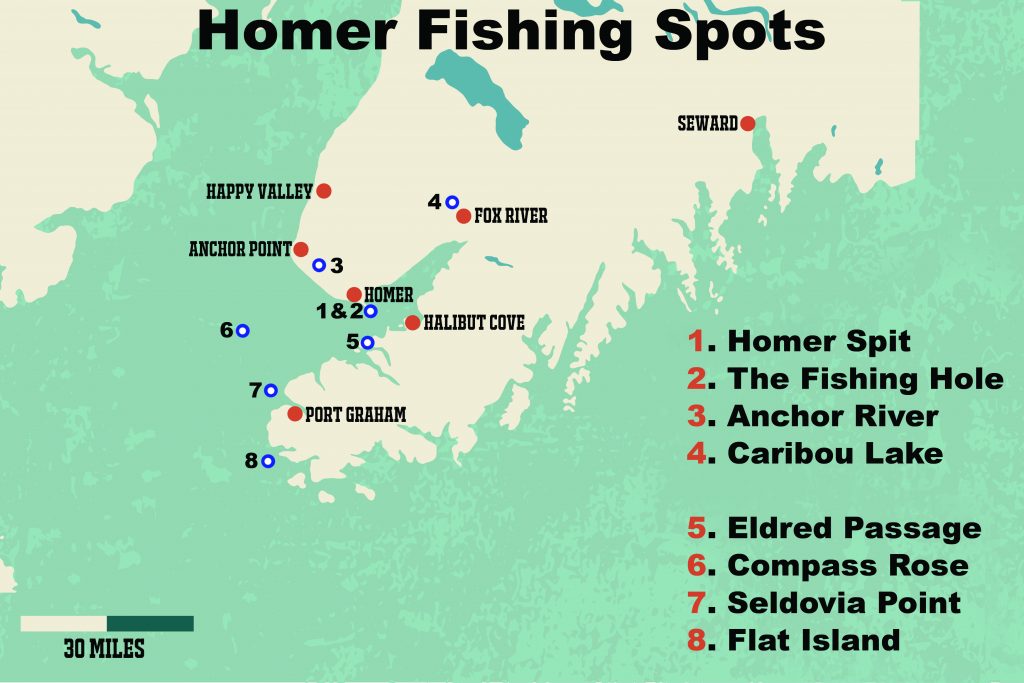A map showing the best Homer fishing spots. The spots are numbered and marked in blue and white. On the right, the fishing spots are listed as follows: "1. Homer Spit 2. The Fishing Hole 3. Anchor River 4. Caribou Lake 5. Eldred Passage 6. Copmass Rose 7. Seldovia Point 8. Flat Island"