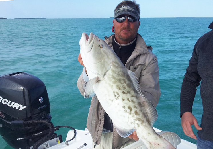 Man with gag grouper on a boat