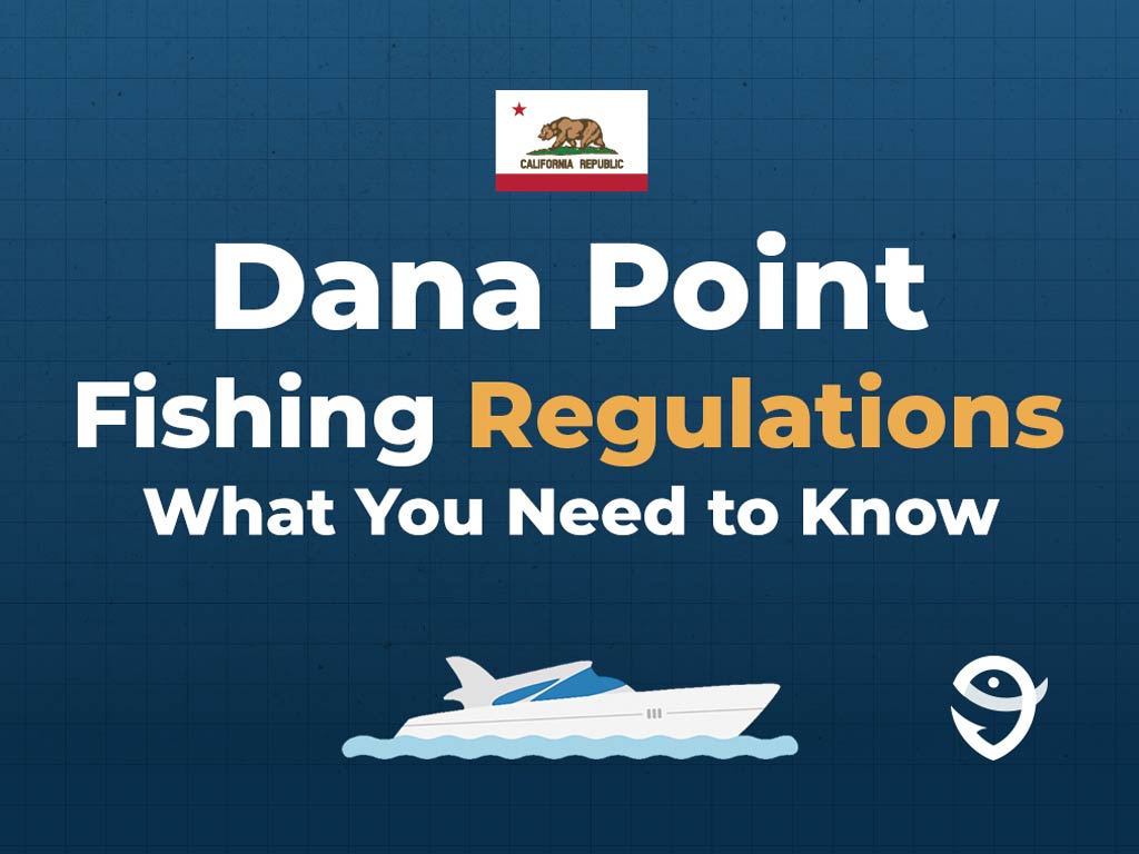 An infographic featuring the flag of California and text saying "Dana Point Fishing Regulations, What You Need to Know" above a vector of a boat against a blue background