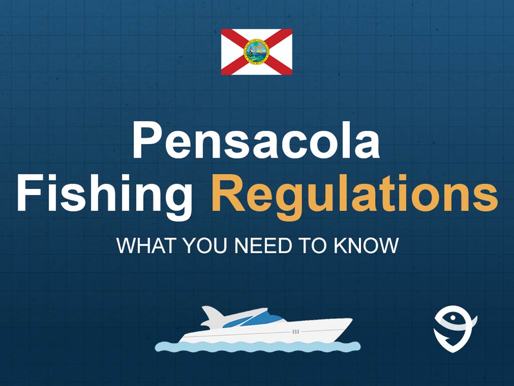 An infographic featuring the flag of Florida and text saying "Pensacola Fishing Regulations, What You Need to Know" above a vector of a boat against a blue background