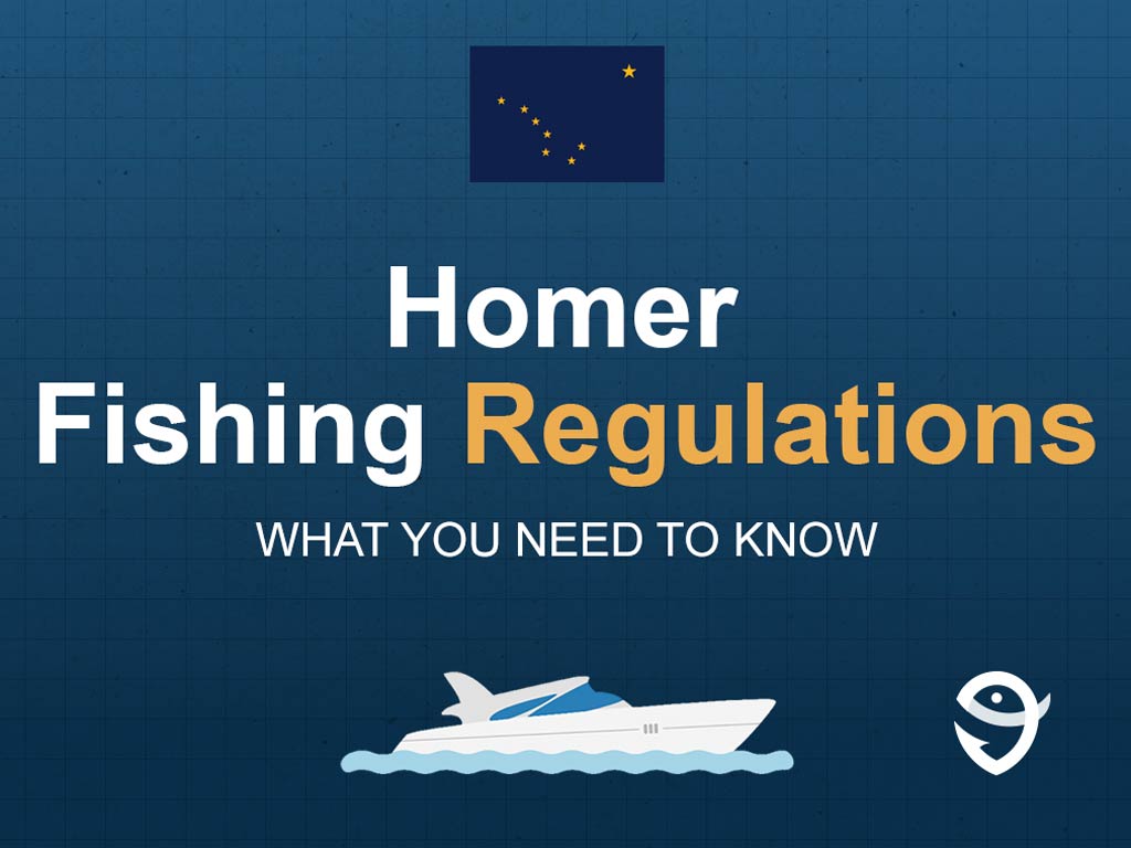 An infographic featuring the flag of Alaska along with text that says "Homer Fishing Regulations What You Need to Know" against a dark blue background.