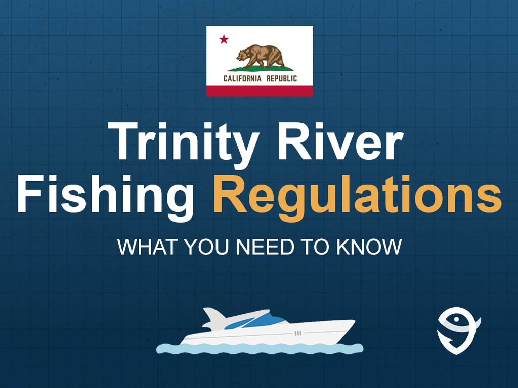 An infographic featuring the flag of California that says "Trinity River Fishing Regulations What You Need to Know" against a dark blue background.
