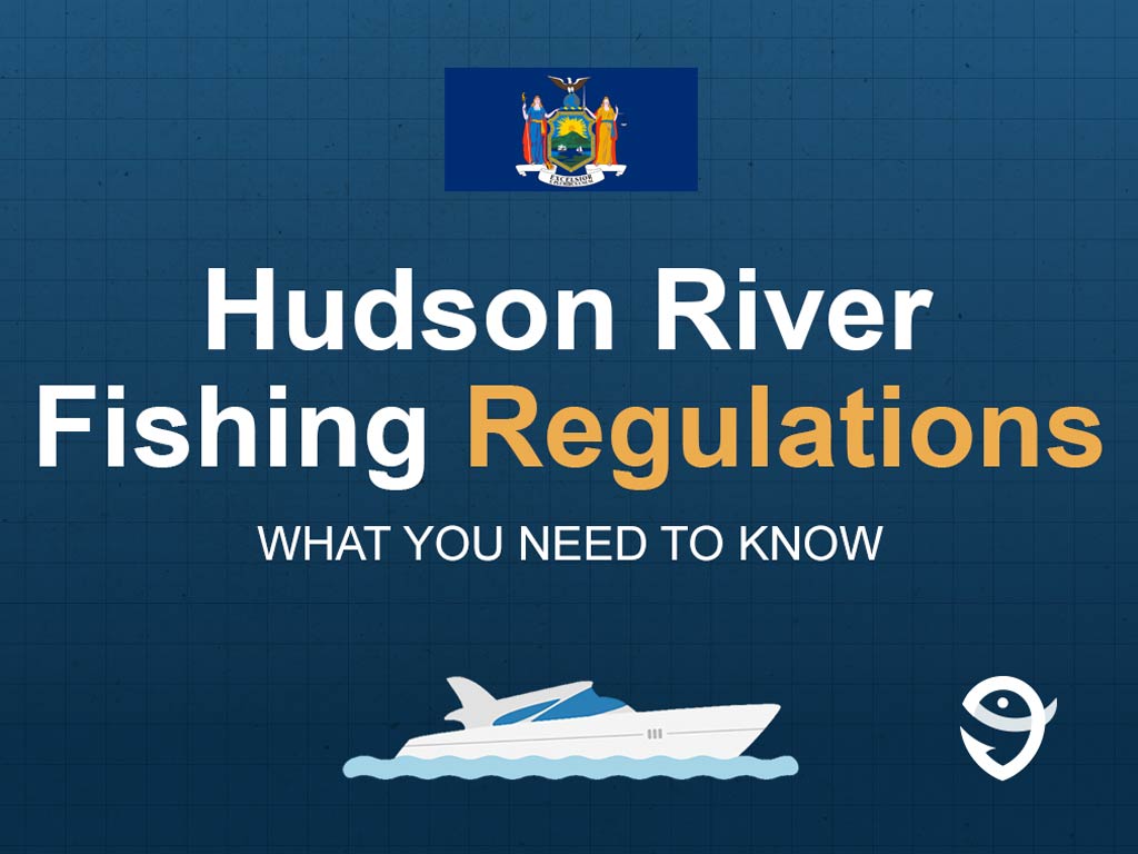 An infographic showing the state flag of New York along with text that says "Hudson River fishing regulations what you need to know" against a dark blue background.