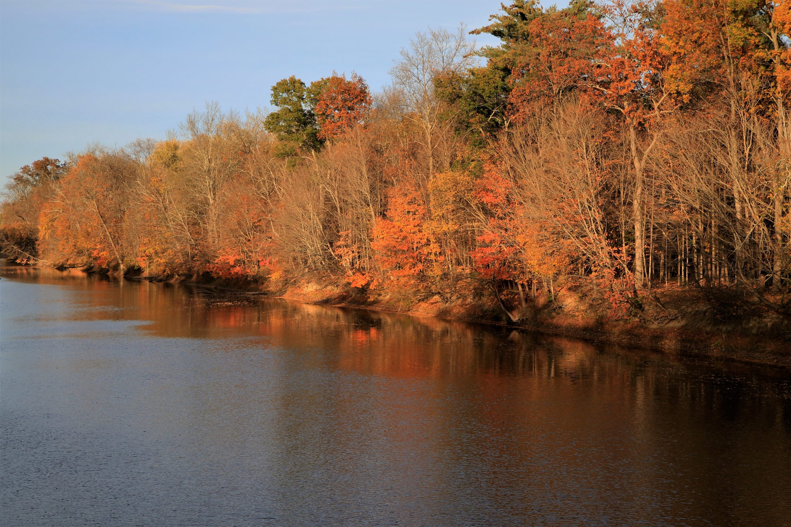 Fishing in HUDSON RIVER The Complete Guide
