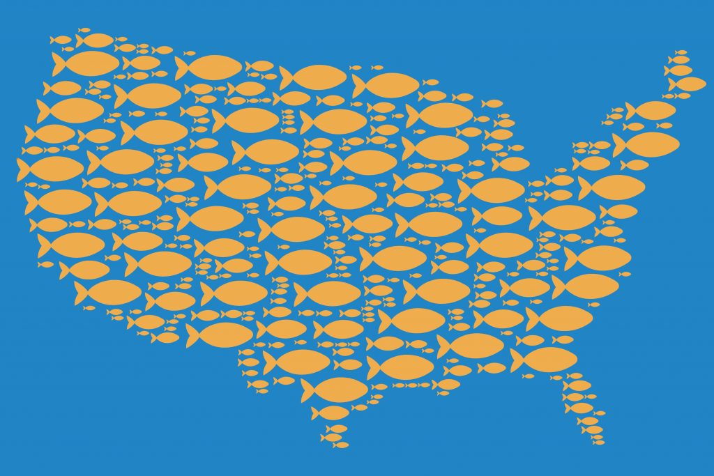 A Map of the US made out of fish.