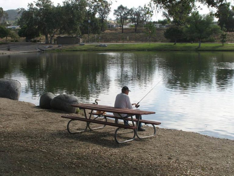 Fishing in SANTEE COOPER: The Complete Guide