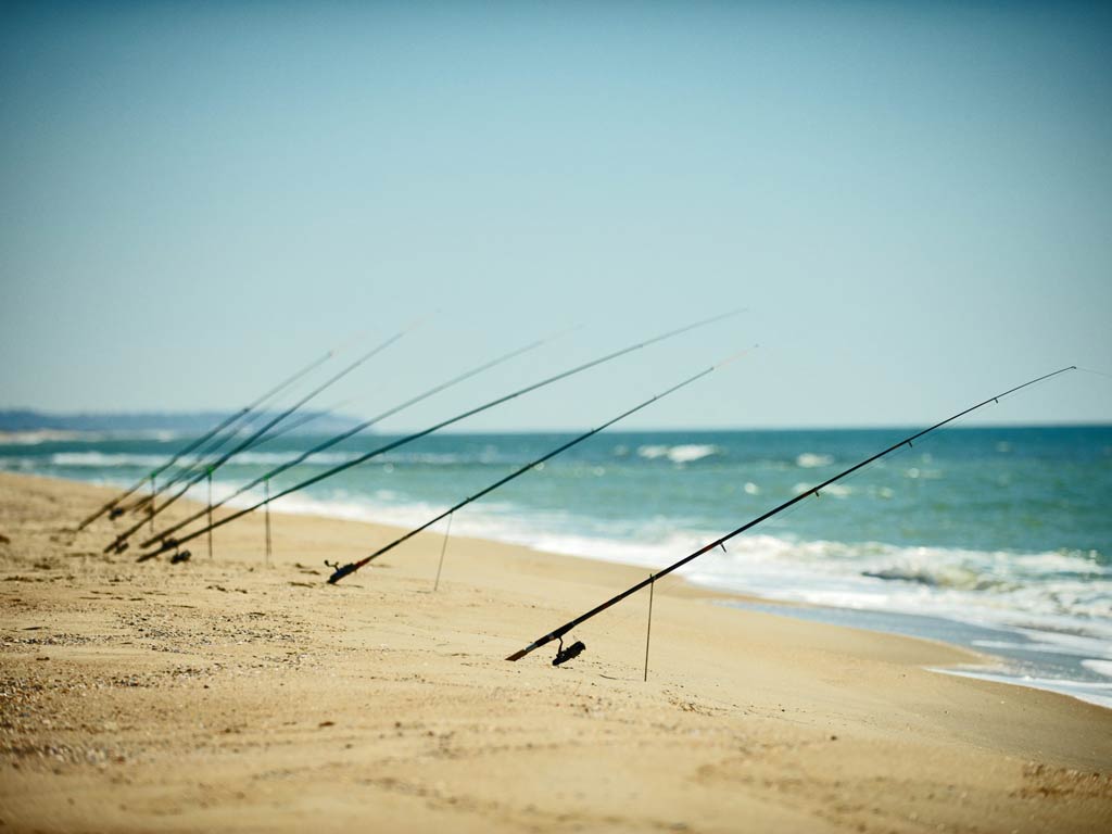 A photo featuring a row of fishing rods set up on a sandy beach for shore fishing