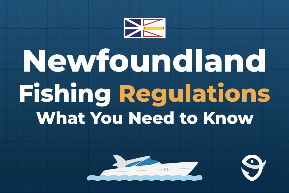 An infographic showing the flag of Newfoundland along with text that says "Newfoundland Fishing Regulations What You Need to Know" against a dark blue background and above a vector of a boat and the FishingBooker logo