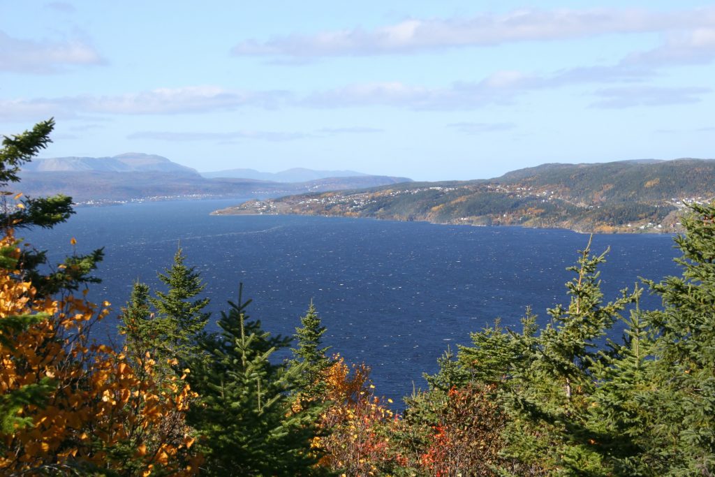 An aerial view of Humber River in Newfoundland