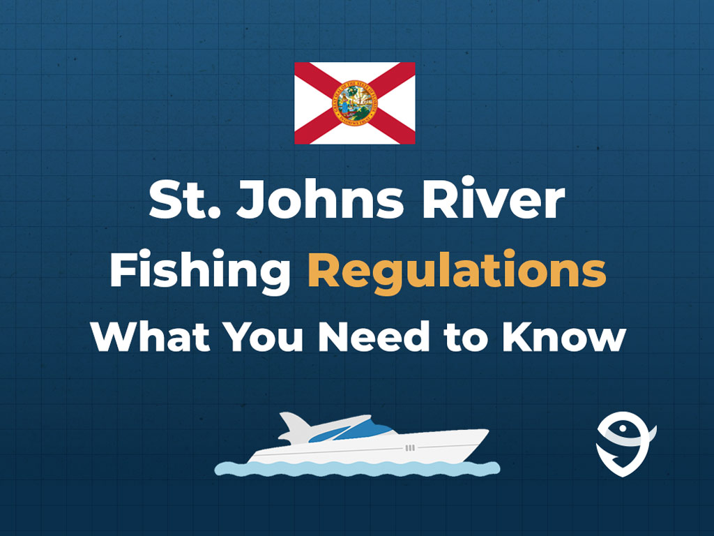 An infographic featuring the flag of Florida along with text that says "St. Johns River Fishing Regulations What You Need to Know" against a dark blue background.