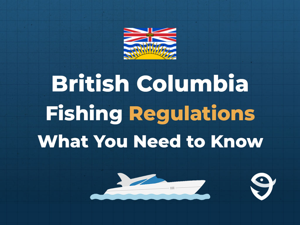 An infographic showing the province flag of BC along with text that says "British Columbia fishing regulations what you need to know" against a dark blue background.