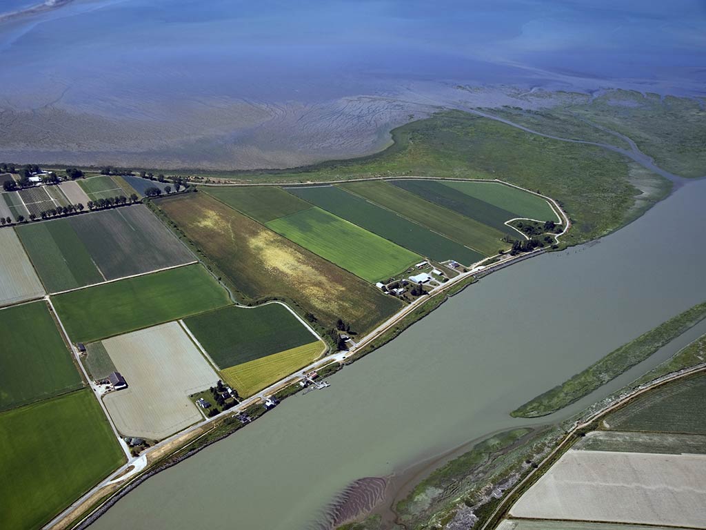An aerial view of the Lower Fraser River near some farmland on a cloudy day