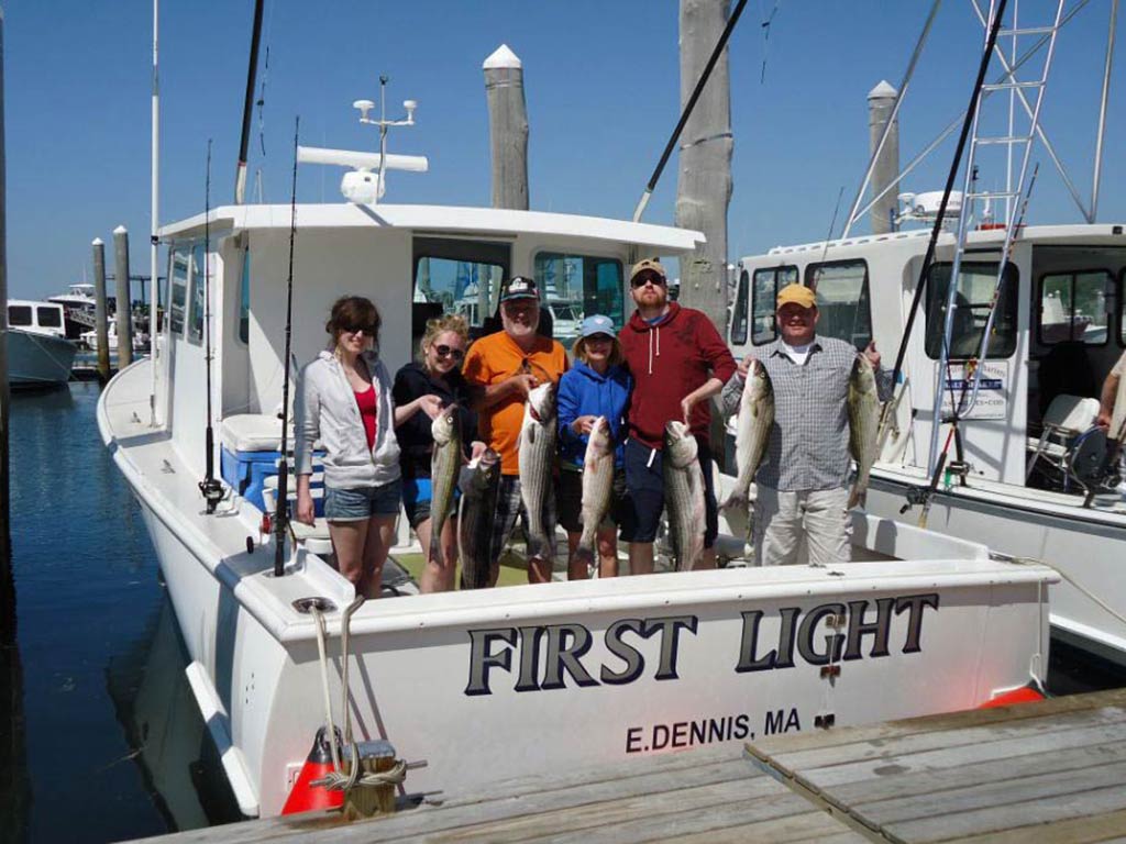 A group of anglers returning to the dock in Dennis, Massachusetts, having caught some Striped Bass