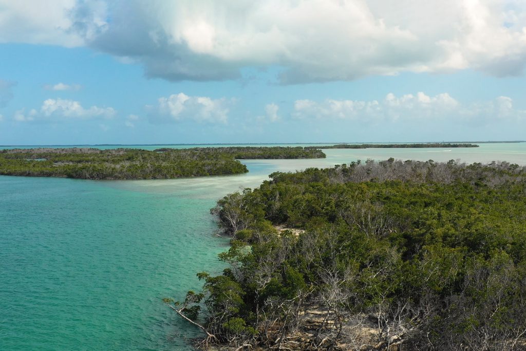 An aerial view of the flats and mangroves around Key West