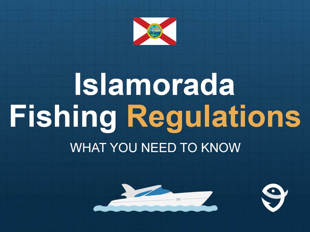 An infographic featuring the flag of Florida and text saying "Islamorada Fishing Regulations, What You Need to Know" above a vector of a boat against a blue background