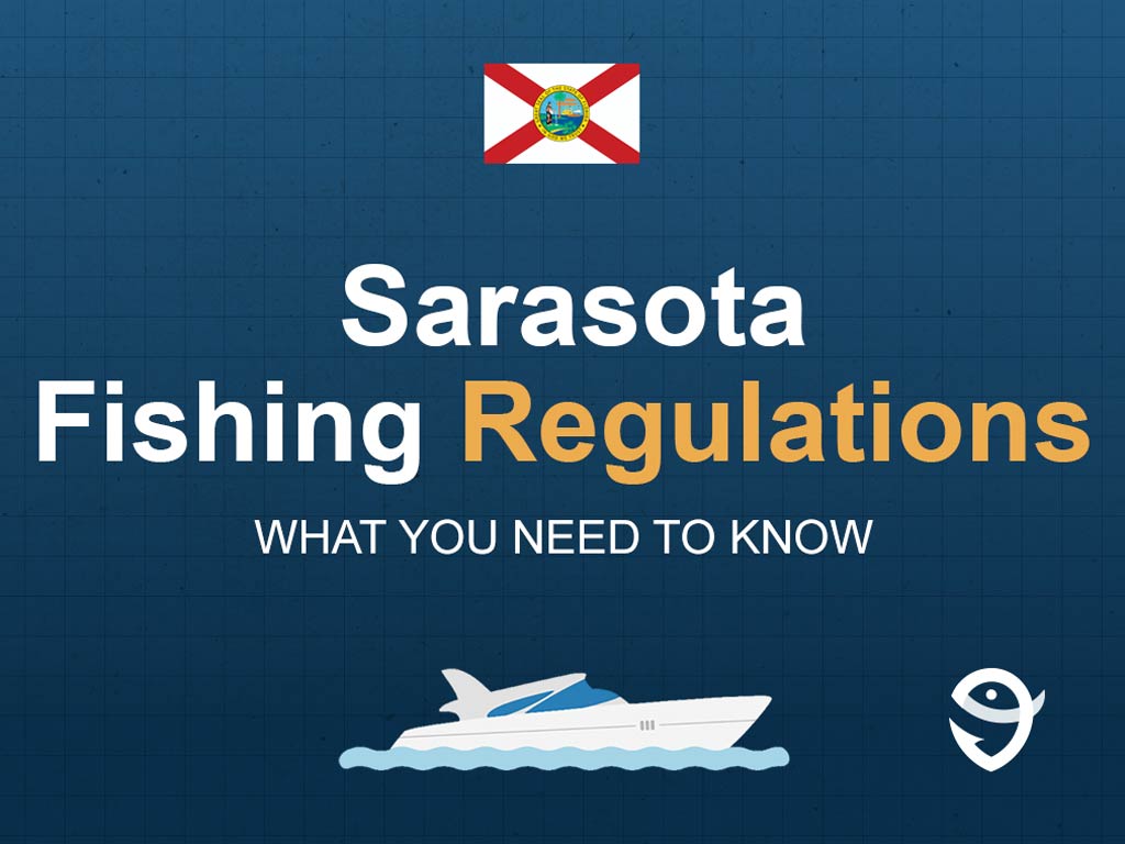 An infographic featuring the flag of Florida and text saying "Sarasota Fishing Regulations, What You Need to Know" above a vector of a boat against a blue background