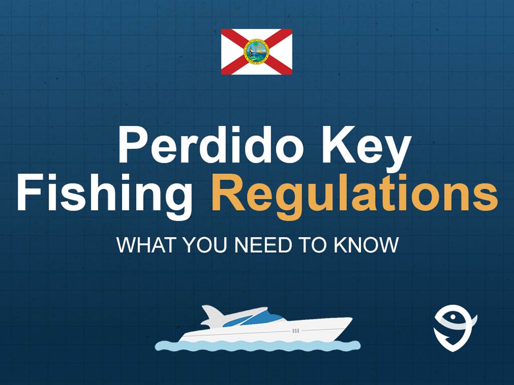 An infographic featuring the flag of Florida and text saying "Perdido Key Fishing Regulations, What You Need to Know" above a vector of a boat against a blue background
