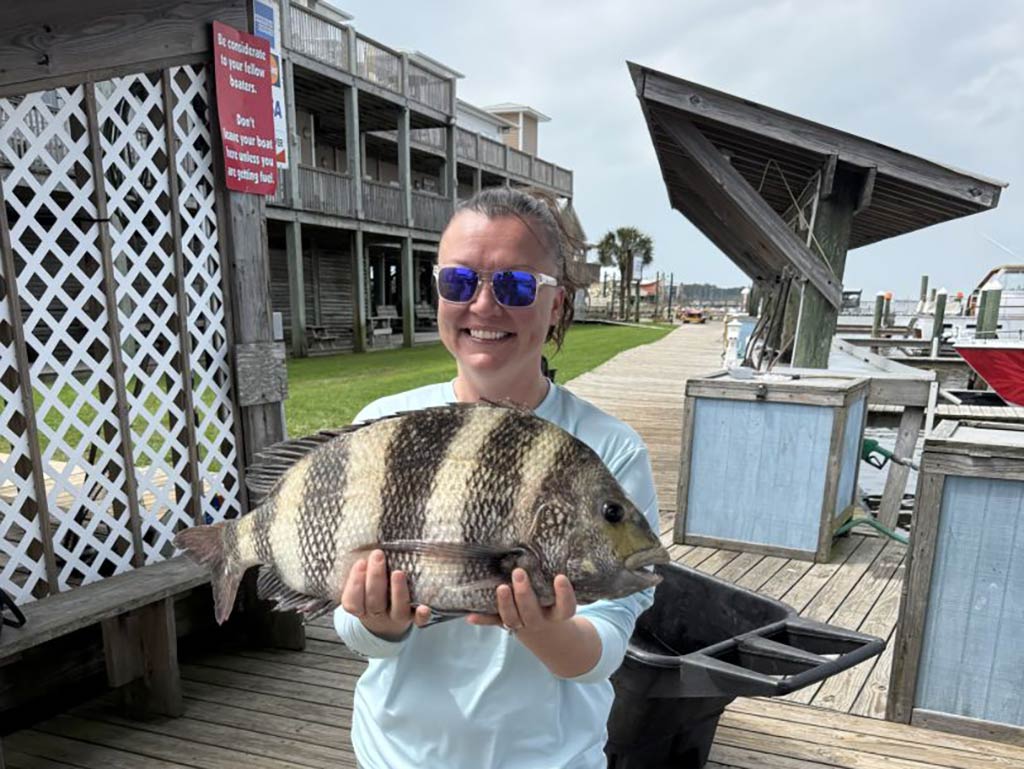 A woman wearing sunglasses and holding a big, striped Sheepshead fish on a wooden dock.